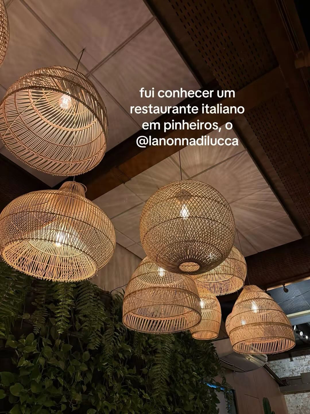 La Nonna di Lucca - Moema